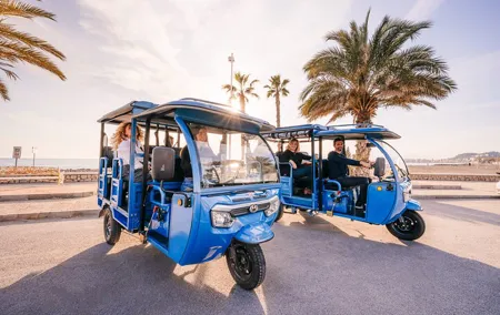Express Tour 40 minutes in Malaga Mirador Gibralfaro and Photography