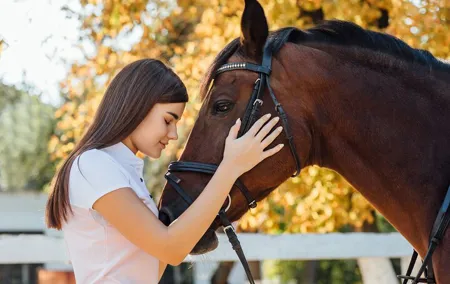 Guided tour of the stables of El Ranchito in Malaga