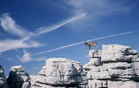 Private Hiking Tour to El Torcal from Malaga