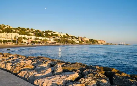 Tour at Malaga Fishing Scene with Cooking Workshop
