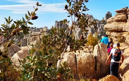 Antequera and Torcal small group tour with pick up