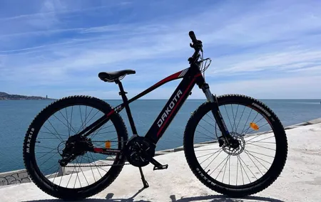 Mountain Ebike Rental in Malaga