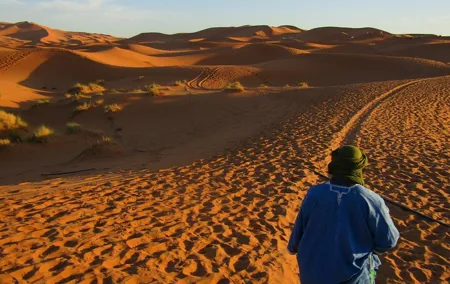 8-Day Tour Morocco, the Great Desert from Costa del Sol