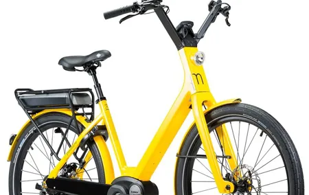 Rental Electric Bicycle Malaga Port