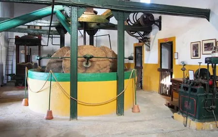 Oil Mill and Agro-Food Market from Costa del Sol Day Tour
