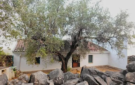 Gourmet oil tourism private visit to the olive grove, tasting, house and factory