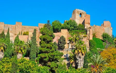 Full Day Private Shore Tour in Malaga from Malaga Cruise Port