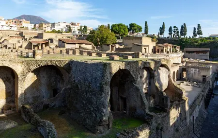 Herculaneum Guided Group Tour from Naples
