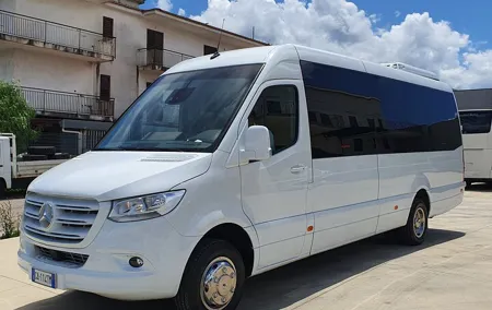 Round-Trip Shuttle Transfer from Naples to Pompeii