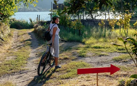 Naples Scenic E-Bike Ride to a Local Vineyard with Meal