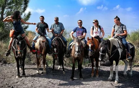 Mount Vesuvius Guided Horse Riding Tour with Sample Wine