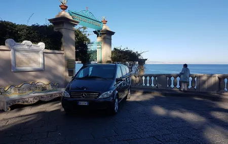 Transfer from Naples to Sorrento with 2 hours Private Tour in Pompeii