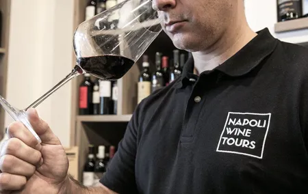 Private Evening Campania Felix Wine Tasting Evening in Naples