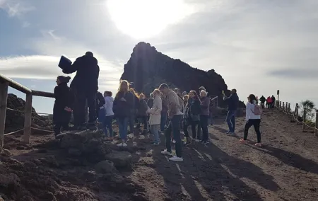 Vesuvius: Half Day Trip from Naples
