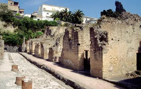 Naples: Pompeii, Herculaneum, and Vesuvius Tour by Minivan