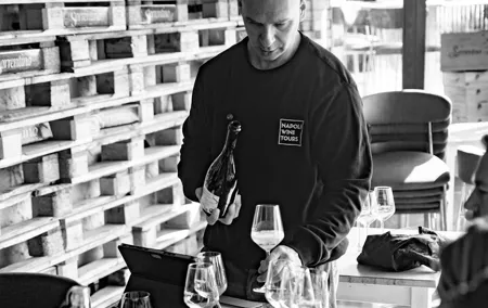 Private Vesuvius Wine Tour, 10 wines, sommelier and trasport