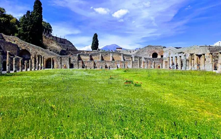 Pompeii private tour from Naples.Best choice for cruise passengers