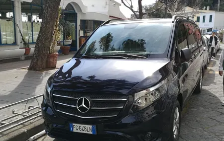 Private Transfer from Naples to Sorrento - Minivan
