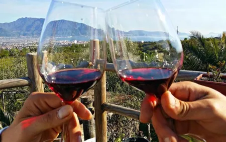 Pompeii & Wine Tasting - Full Day Tour