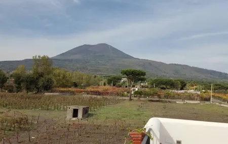 Mount Vesuvius Half Day Private Tour