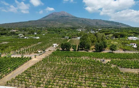 Private Pompeii and Vineyard Escape from Naples