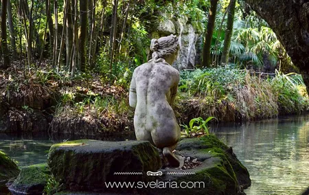 Guided tour of the Royal Palace of Caserta with an art expert