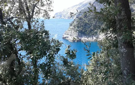 Minivan Tour | Amalfi Ravello and Pompeii with driver