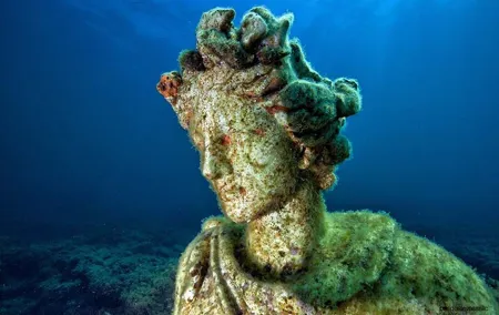 Diving at the Baia Submerged Park for certified divers