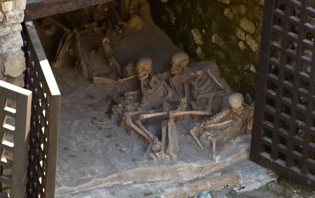 Private Tour: Day Trip Excursion to Herculaneum, Positano and Sorrento
