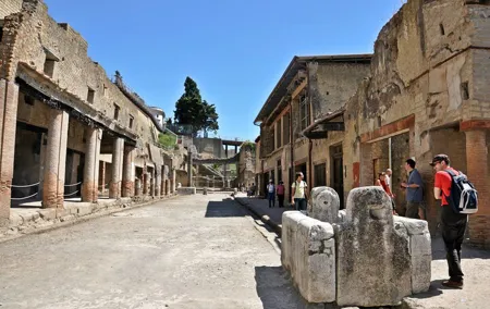 Herculaneum VIP Tour with Lunch from Naples