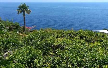 Naples port tour Sorrento and pompeii and overview of positano