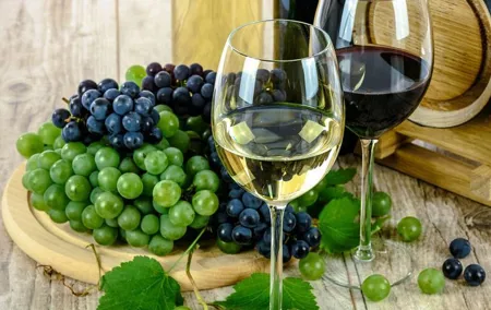Vesuvius Wine Tasting Tour with Typical Lunch on the Slopes