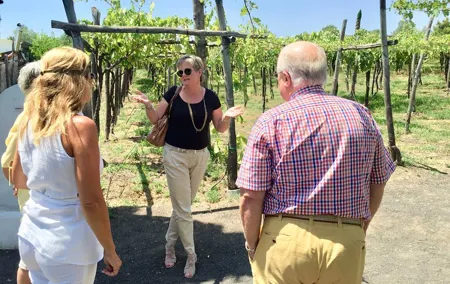 Pompeii with lunch and Wine tasting
