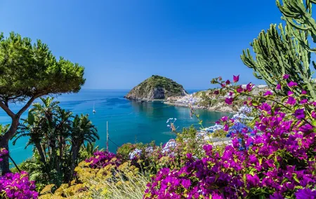 Exclusive Ischia Day Trip & Food Tasting with Top Guide and Driver from Naples