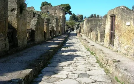 Private full day tour Herculaneum ruins Mt Vesuvio and Winery