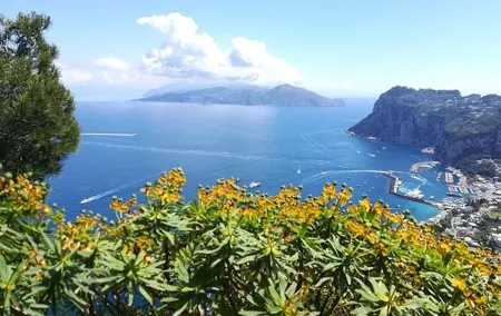 A special day in Capri - walking and boat tour