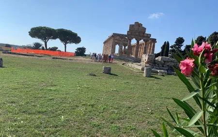 Paestum Private Tour from Naples