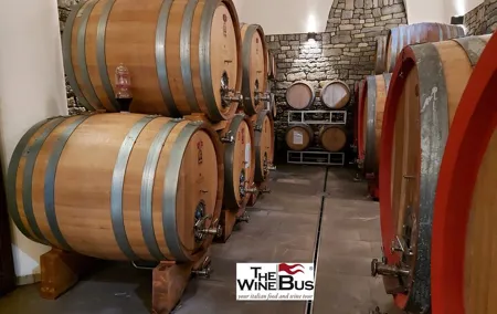 Private Irpinia Wine Tour from NAPLES with sommelier