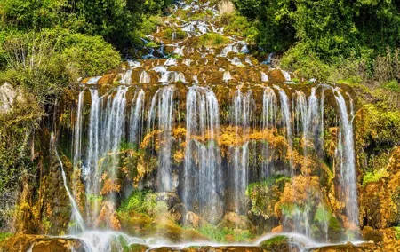 Caserta Private 8 hours Tour from Naples