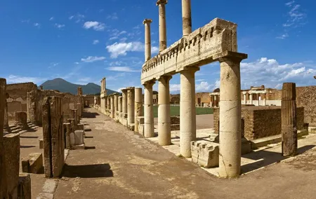 Skip-The-Line Pompeii Lunch&WineTasting from Naples Port