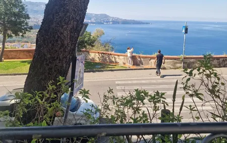 Private Tour of the Amalfi Coast and Pompeii