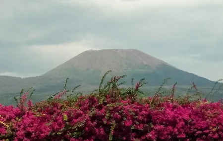 Naples Cruise Port: Pompeii SkipTheLine & Mt Vesuvius Lunch WineTasting Included