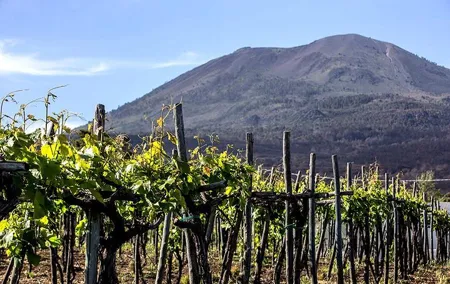 Pompeii, Herculaneum, Mt Vesuvius, Winery Tasting & Lunch pack