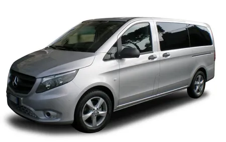 Private arrival transfer from Naples airport/station to Salerno/Vietri