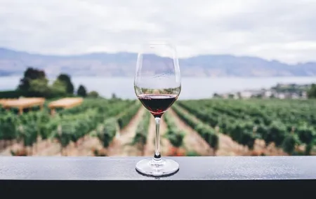 Naples to Amalfi coast trip via Wine-Tasting lunch (or reverse)