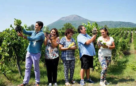 Pompeii and Cantina del Vesuvio Winery Private Tour