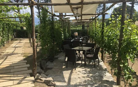 Pompeii and Winery