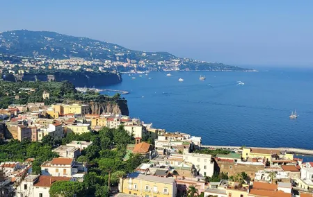 Sorrento : Private Transfer from Naples visit Pompeii