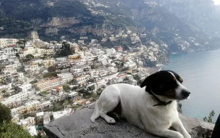 Pompeii, Positano, Sorrento full day with Pompeii guide bookable