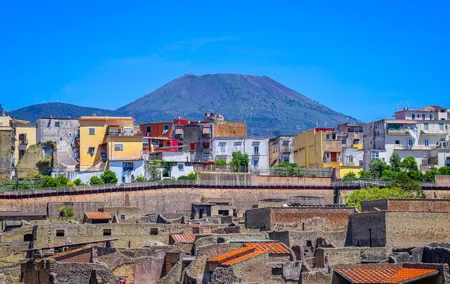 (Ercolano) Herculaneum , Half Day Private Tour